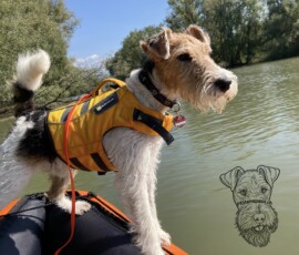 Curry im Boot auf dem Alten Rhein