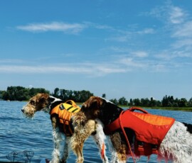Curry und Duffy auf dem SUP