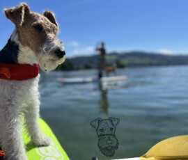 Duffy hat Ausschau auf dem See