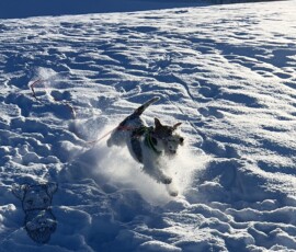 Curry mit Spass im Schnee