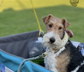 Duffy müde von der Party