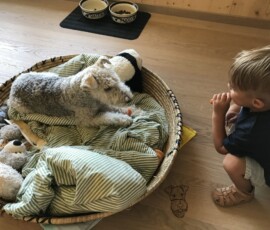 Vincent mit Kiwi