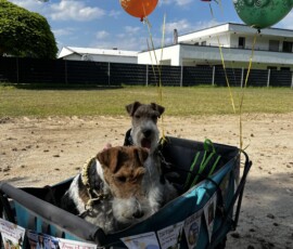 Duffy und Curry unterwegs im Partymobil